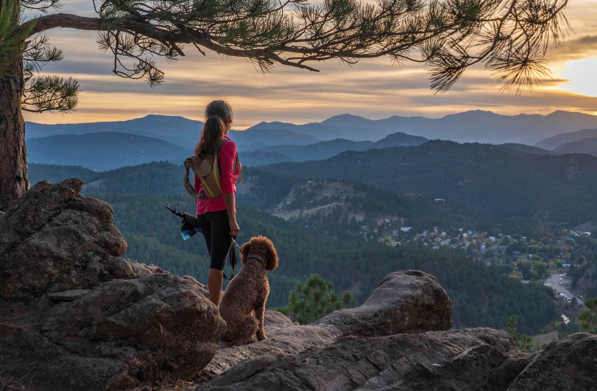 Woman with a dog on a mountain vista looking out over the valley
